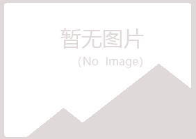 青海晓夏化学有限公司